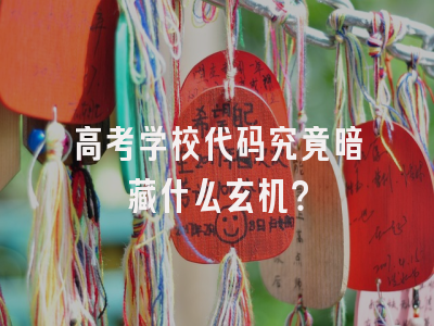 高考学校代码究竟暗藏什么玄机？