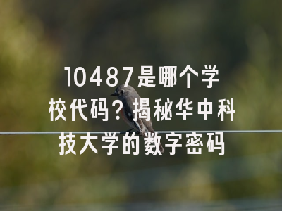 10487是哪个学校代码？揭秘华中科技大学的数字密码