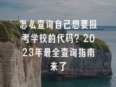 怎么查询自己想要报考学校的代码？2023年最全查询指南来了