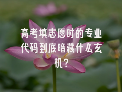 高考填志愿时的专业代码到底暗藏什么玄机？