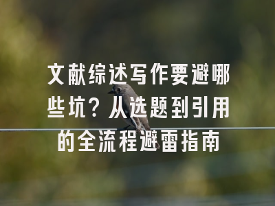 文献综述写作要避哪些坑？从选题到引用的全流程避雷指南