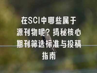 在SCI中哪些属于源刊物呢？揭秘核心期刊筛选标准与投稿指南