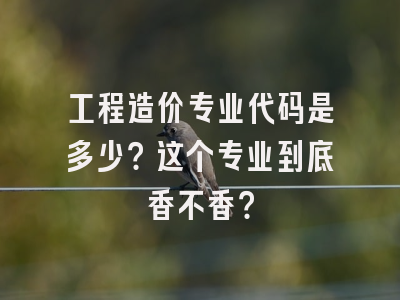 工程造价专业代码是多少？这个专业到底香不香？