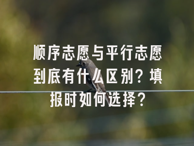 顺序志愿与平行志愿到底有什么区别？填报时如何选择？