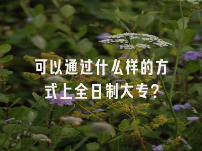 可以通过什么样的方式上全日制大专？