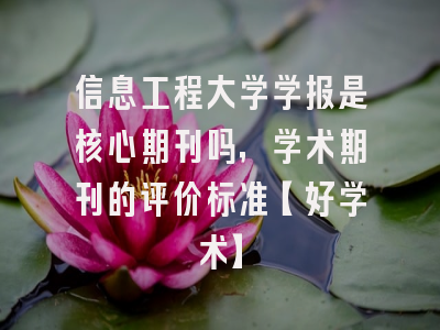 信息工程大学学报是核心期刊吗，学术期刊的评价标准【好学术】