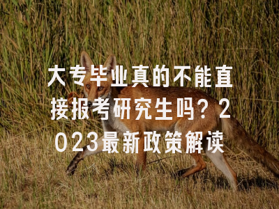 大专毕业真的不能直接报考研究生吗？2023最新政策解读