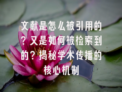文献是怎么被引用的？又是如何被检索到的？揭秘学术传播的核心机制