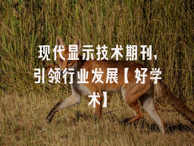 现代显示技术期刊，引领行业发展【好学术】