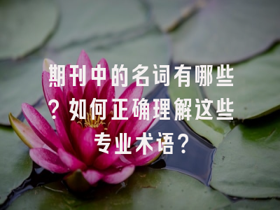 期刊中的名词有哪些？如何正确理解这些专业术语？