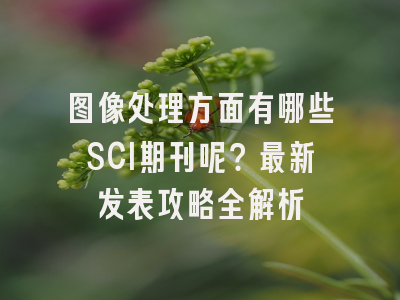 图像处理方面有哪些SCI期刊呢？最新发表攻略全解析