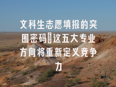 文科生志愿填报的突围密码：这五大专业方向将重新定义竞争力