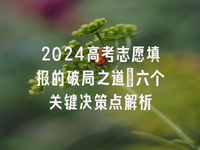 2024高考志愿填报的破局之道：六个关键决策点解析