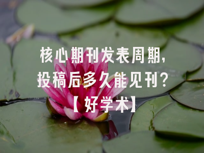 核心期刊发表周期,投稿后多久能见刊？【好学术】