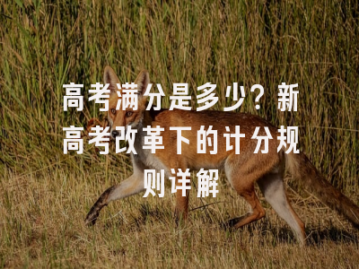 高考满分是多少？新高考改革下的计分规则详解