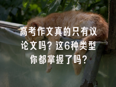 高考作文真的只有议论文吗？这6种类型你都掌握了吗？