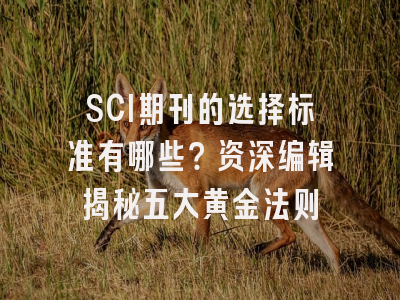 SCI期刊的选择标准有哪些？资深编辑揭秘五大黄金法则