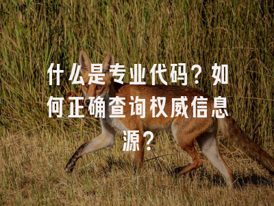 什么是专业代码？如何正确查询权威信息源？