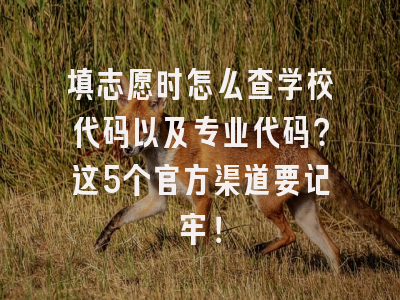 填志愿时怎么查学校代码以及专业代码？这5个官方渠道要记牢！