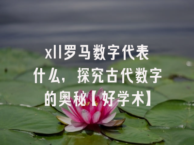xll罗马数字代表什么，探究古代数字的奥秘【好学术】