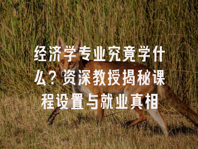 经济学专业究竟学什么？资深教授揭秘课程设置与就业真相