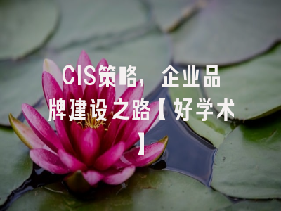 CIS策略，企业品牌建设之路【好学术】