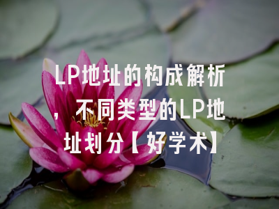 LP地址的构成解析，不同类型的LP地址划分【好学术】