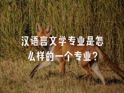 汉语言文学专业是怎么样的一个专业？