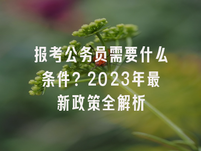 报考公务员需要什么条件？2023年最新政策全解析