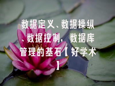 数据定义、数据操纵、数据控制，数据库管理的基石【好学术】