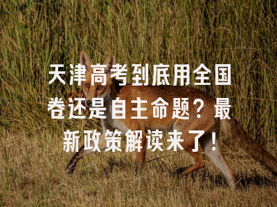 天津高考到底用全国卷还是自主命题？最新政策解读来了！
