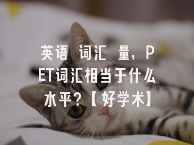 英语 词汇 量，PET词汇相当于什么水平？【好学术】