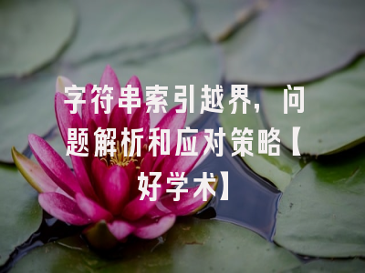 字符串索引越界，问题解析和应对策略【好学术】