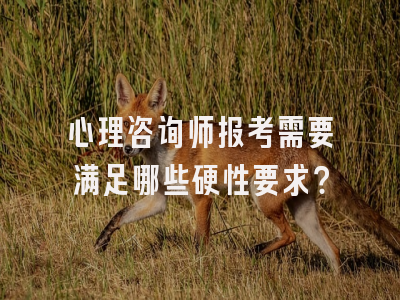 心理咨询师报考需要满足哪些硬性要求？