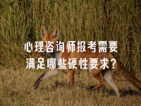 学术会议在线