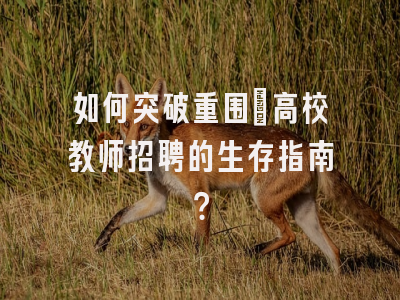 如何突破重围：高校教师招聘的生存指南？