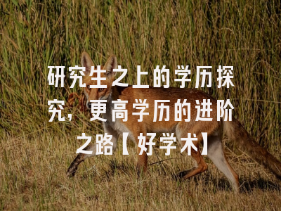 研究生之上的学历探究，更高学历的进阶之路【好学术】