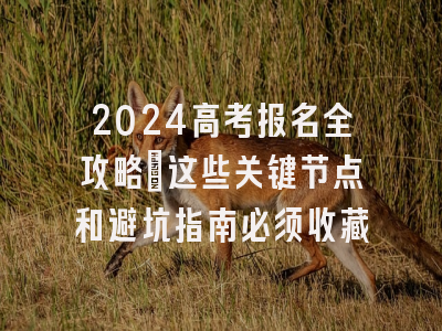 2024高考报名全攻略：这些关键节点和避坑指南必须收藏