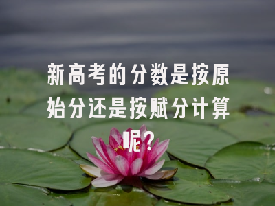 新高考的分数是按原始分还是按赋分计算呢？
