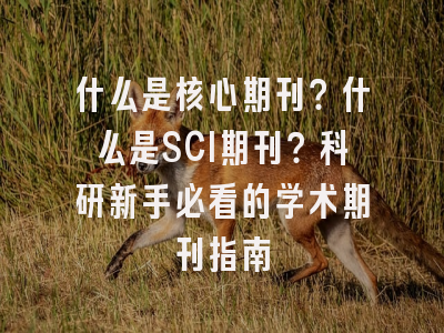 什么是核心期刊？什么是SCI期刊？科研新手必看的学术期刊指南
