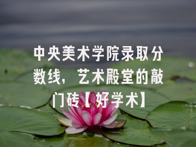 中央美术学院录取分数线，艺术殿堂的敲门砖【好学术】