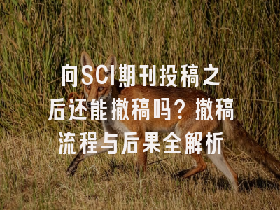 向SCI期刊投稿之后还能撤稿吗？撤稿流程与后果全解析