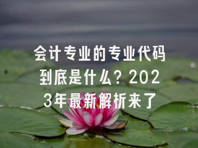 会计专业的专业代码到底是什么？2023年最新解析来了