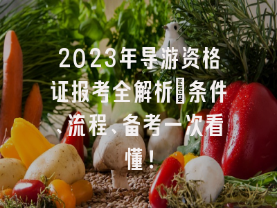 2023年导游资格证报考全解析：条件、流程、备考一次看懂！
