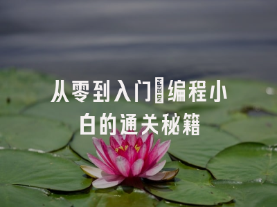 从零到入门：编程小白的通关秘籍