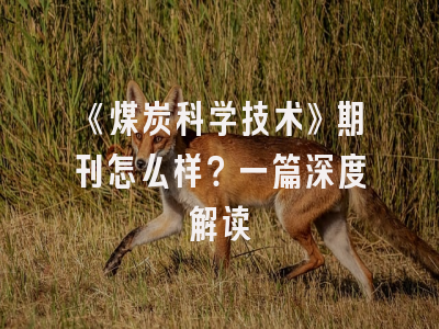 《煤炭科学技术》期刊怎么样？一篇深度解读