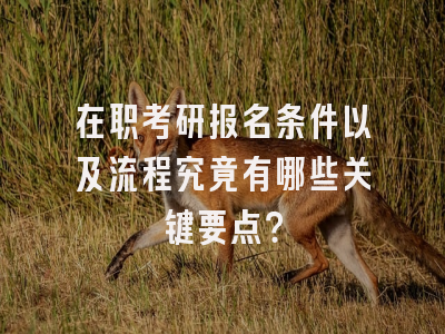 在职考研报名条件以及流程究竟有哪些关键要点？