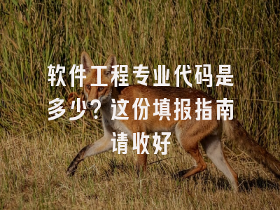 软件工程专业代码是多少？这份填报指南请收好