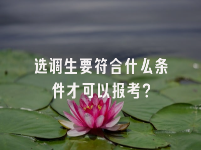 选调生要符合什么条件才可以报考？