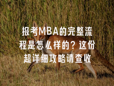 报考MBA的完整流程是怎么样的？这份超详细攻略请查收
